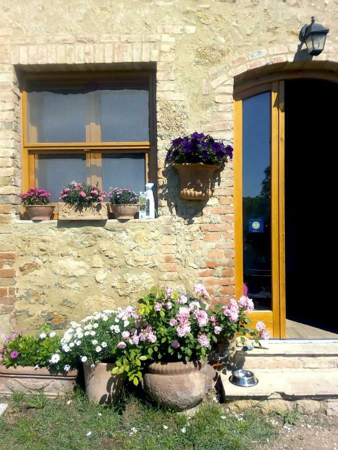 Casa Ollie Apartment Castel San Gimignano Exterior photo